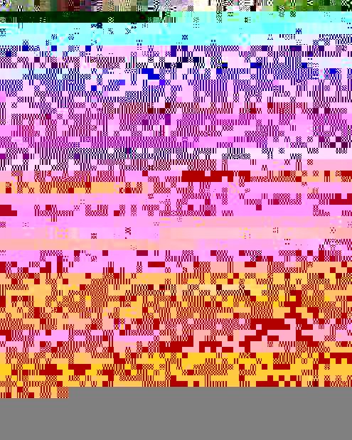 Visual 1